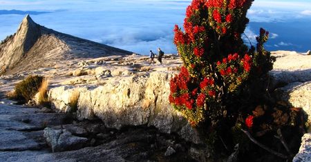 Kinabalu - święta góra Borneo