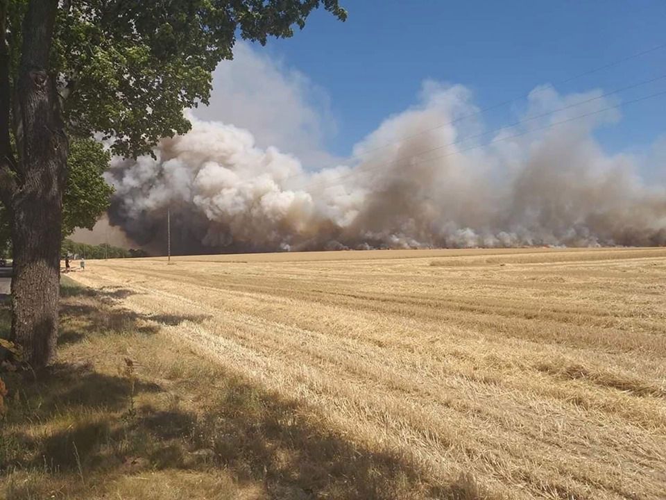 Wielkie pożary w Wielkopolsce. Jest apel straży pożarnej do kierowców. "Nie ustępują pierwszeństwa"