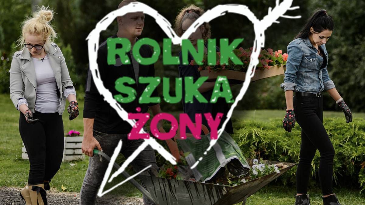 Rolnik szuka żony