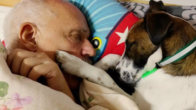 Korwin-Mikke przekonuje, że jego pies nie boi się petard