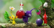 Nintendo zdradza plany na E3 - trzeci Pikmin trafi na Wii U