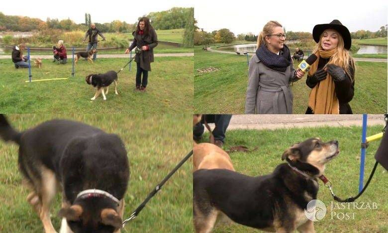 Izabela Miko zachęca do adopcji psów! W trakcie pojawiło się pytanie o Azja Express! Odpowiedź gwiazdy zaskakuje! [wideo]