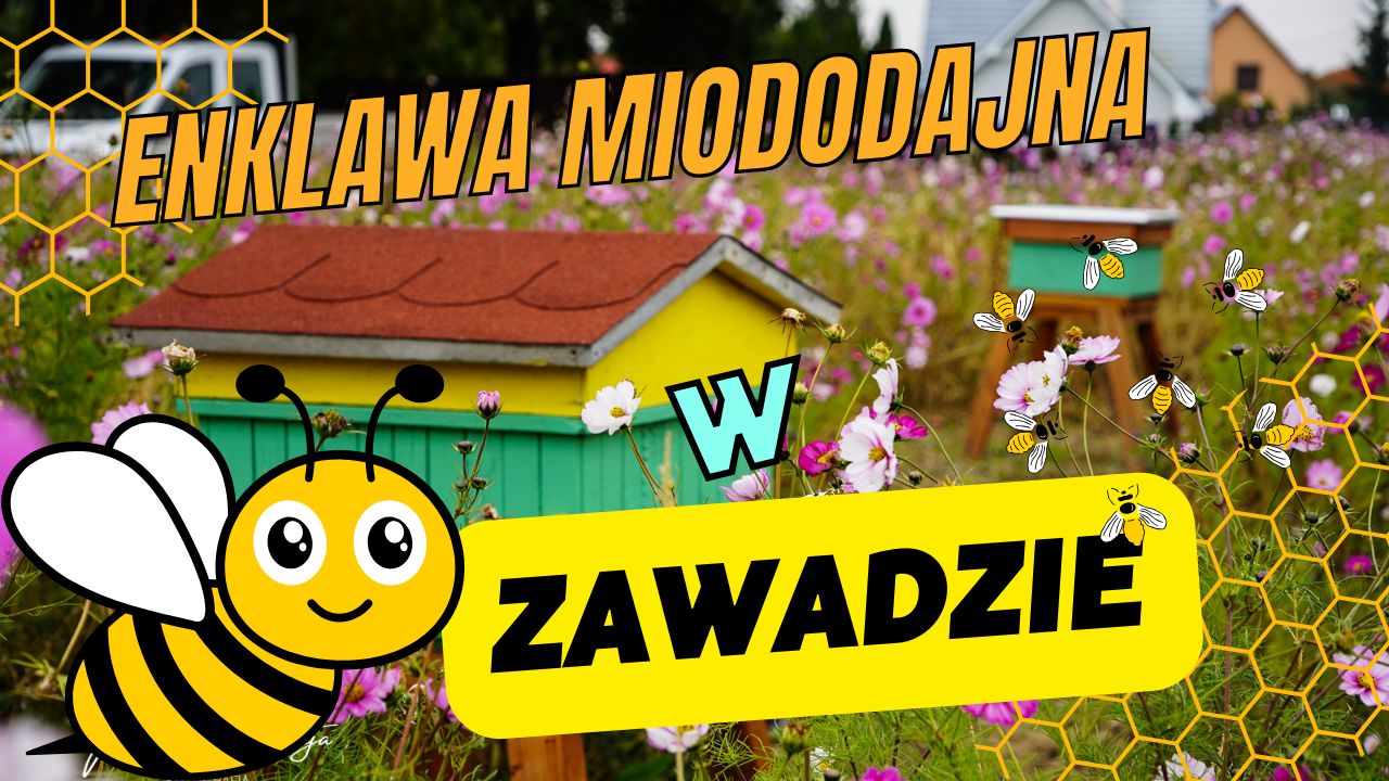 Otwarto enklawę miododajną w Zawadzie