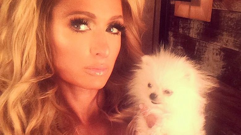 Paris Hilton
Fotografia: screen z Instagram.pl