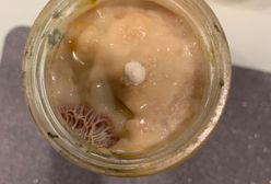 Dziwne znalezisko w daniu dla dzieci z Lidla. Sieć odpowiada