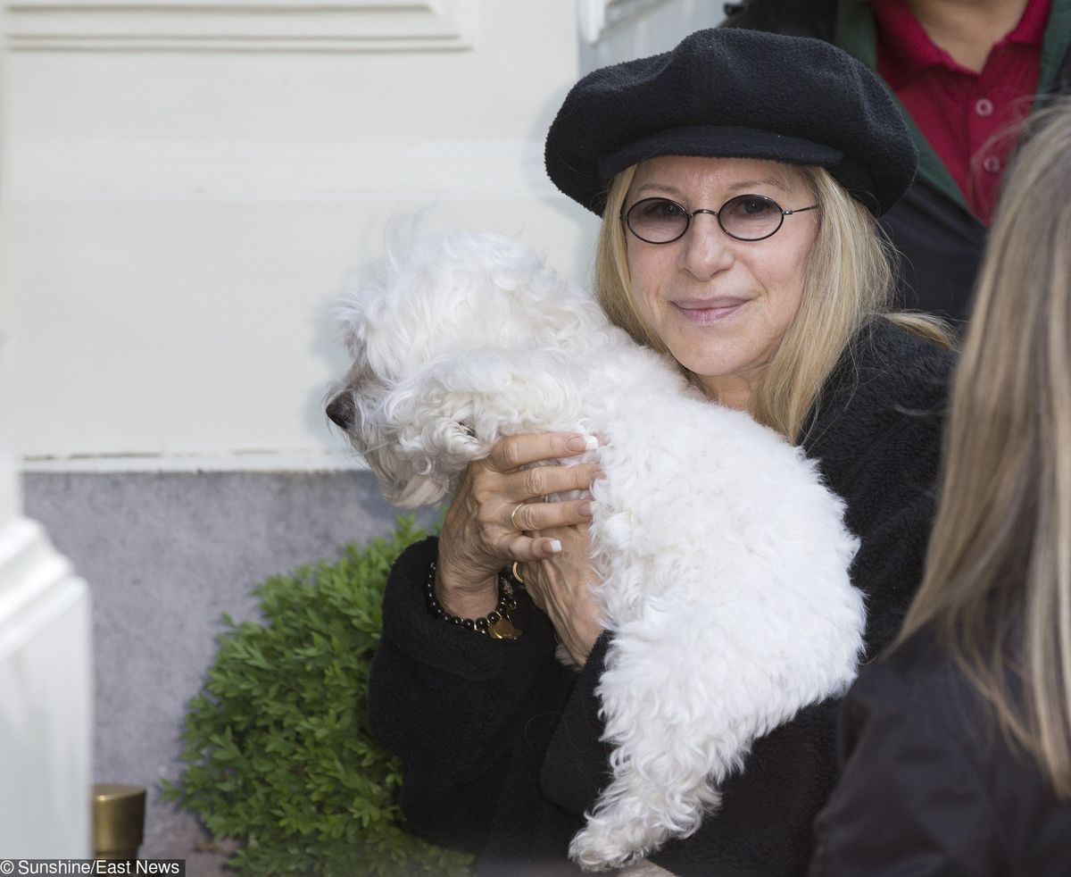 Barbra Streisand sklonowała swojego psa. Podwójnie
