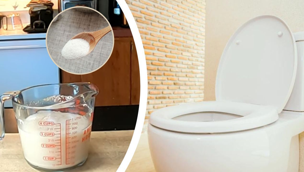 Dissolve some Yeast and Pour Into the Toilet Overnight. You Will Get Rid of the Bad Smell