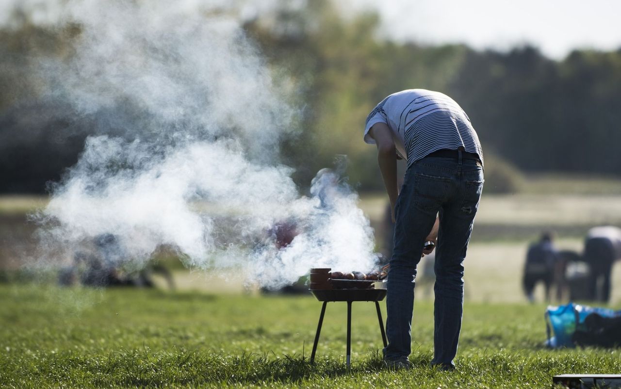 "Ekologiczne" grillowanie kosztuje. Na "dzień dobry" nawet 10 razy więcej niż tradycyjne