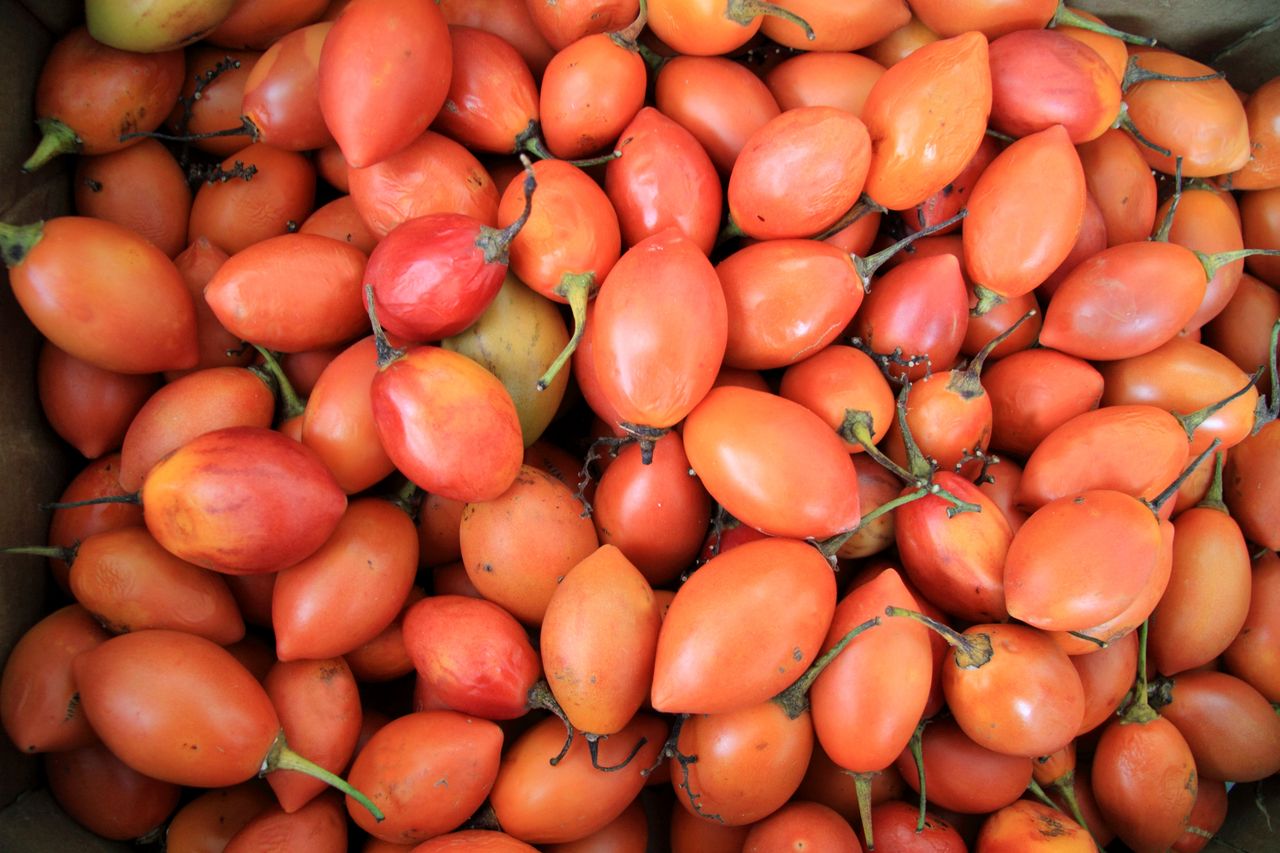 Tamarillo - egzotyczny przysmak, który kupisz w dyskoncie. Zaskakuje smakiem!
