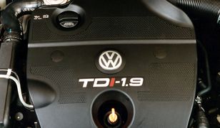 Motoryzacyjne stereotypy kontra opinie mechaników