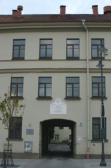 Obraz
