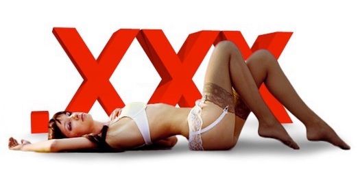 1,5 mln dol. kary za 10 filmów porno na torrentach