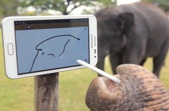 Słoń obsługuje Galaxy Note'a... trąbą