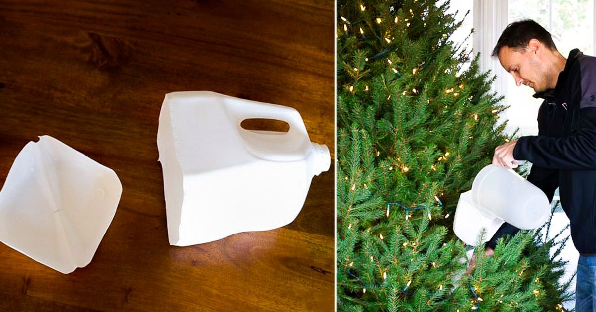 Don’t throwaway laundry liquid bottle. It will be a great gadget that you can use for Christmas tree care