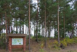 Koronawirus w Warszawie. Kampinoski Park Narodowy zamknięty od czwartku