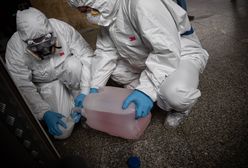 Koronawirus w Polsce. Kolejne przypadki zakażenia. Ministerstwo Zdrowia publikuje nowe dane