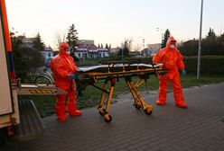 Koronawirus. Raport z frontu, dzień czternasty. "Babka wielkanocna" w czasach pandemii, czyli najwyższy poziom niegodziwości