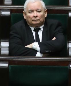 Ile warta jest demokracja (OPINIA)