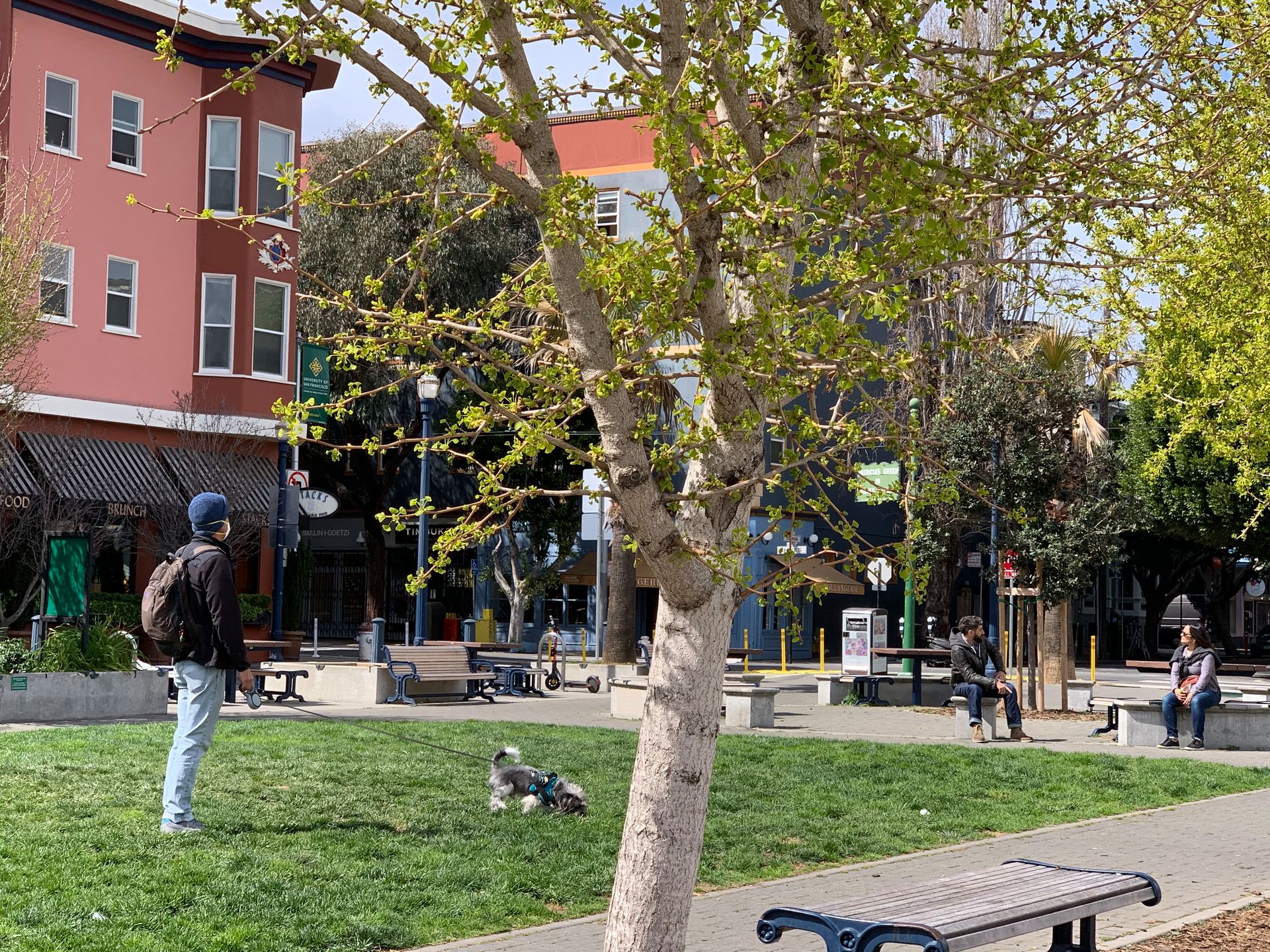 Obecnie spotkanie spacerowicza na ulicy w San Francisco graniczy z cudem. 