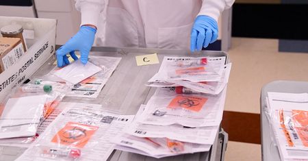 Koronawirus. Naukowcy analizują, jak układ odpornościowy zwalcza chorobę