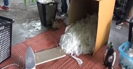 Tajlandia. Oszuści sprzedawali używane maseczki jako nowe