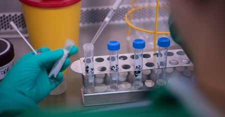 Koronawirus z Chin. Mikrobiolog: mógł powstać w laboratorium w Wuhan