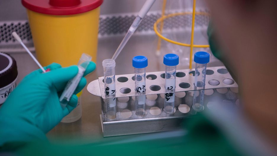 Koronawirus z Chin. Hiszpański mikrobiolog ma teorię