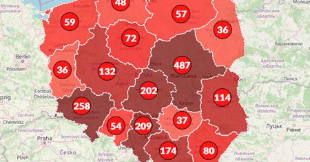 Koronawirus w Polsce: rośnie liczba zakażonych. Na świecie prawie 800 tys. [Mapa koronawirusa]