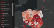 Koronawirus w Polsce. Mapa zarażeń. Nieuchronnie zbliżamy się do 1000 przypadków