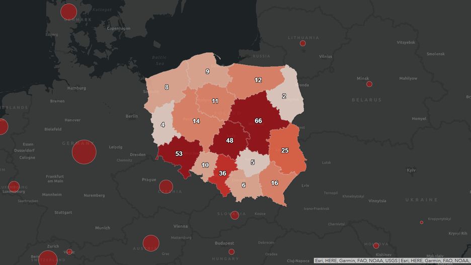 Koronawirus - mapa zarażonych w Polsce z podziałem na województwa