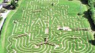Tak wygląda labirynt w kukurydzy z lotu ptaka