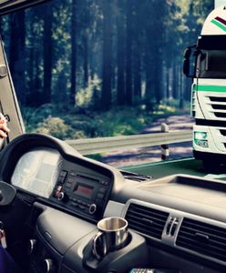Powstanie Rejestr Przewoźników Drogowych. Ma poprawić bezpieczeństwo