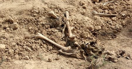 Irak. Ponad 600 ciał. Przerażające odkrycie robotników budowlanych
