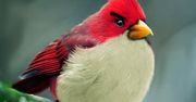 Prawie 140 tysięcy dni na dobę gramy w Angry Birds