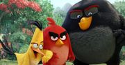 ''Angry Birds Film'': wysokie loty nielotów [RECENZJA DVD]