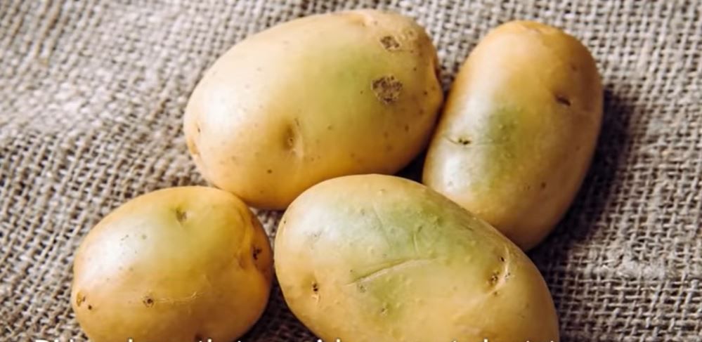 Zielone ziemniaki - Pyszności; Foto: kadr z materiału na kanale YouTube Naturalne leki