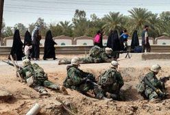 Nadżaf i an-Nassirija bronią się