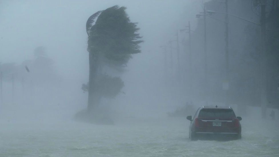 <<enter caption here>> on September 10, 2017 in Fort Lauderdale, Florida.