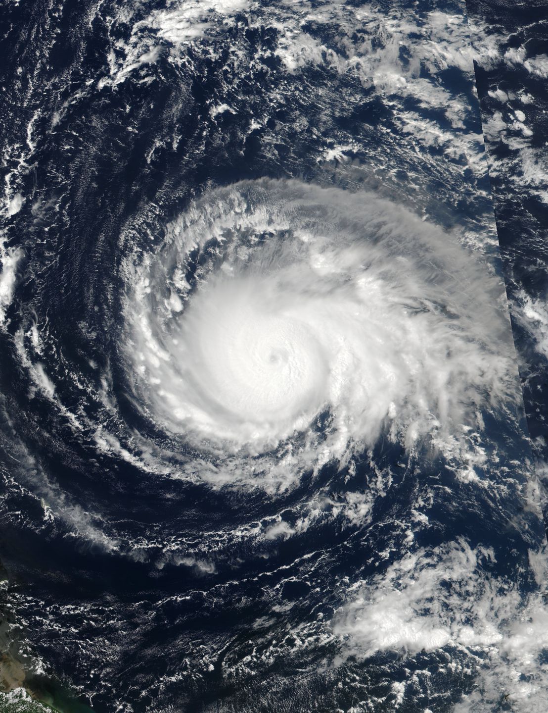 Huragan Irma