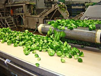 Eskimos złożył wniosek o postępowanie sanacyjne i wniosek o ogłoszenie upadłości