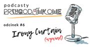 Irony Curtain - WYWIAD z Magdaleną Cielecką i Natalią Dołżycką z Artifex Mundi