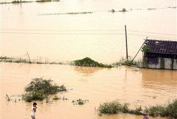 188 ofiar tropikalnego sztormu Bilis