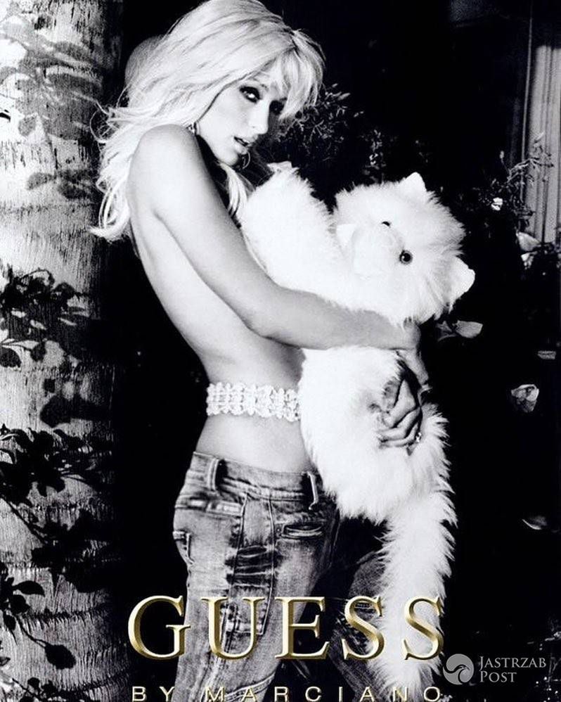 Paris Hilton bez stanika z pieskiem