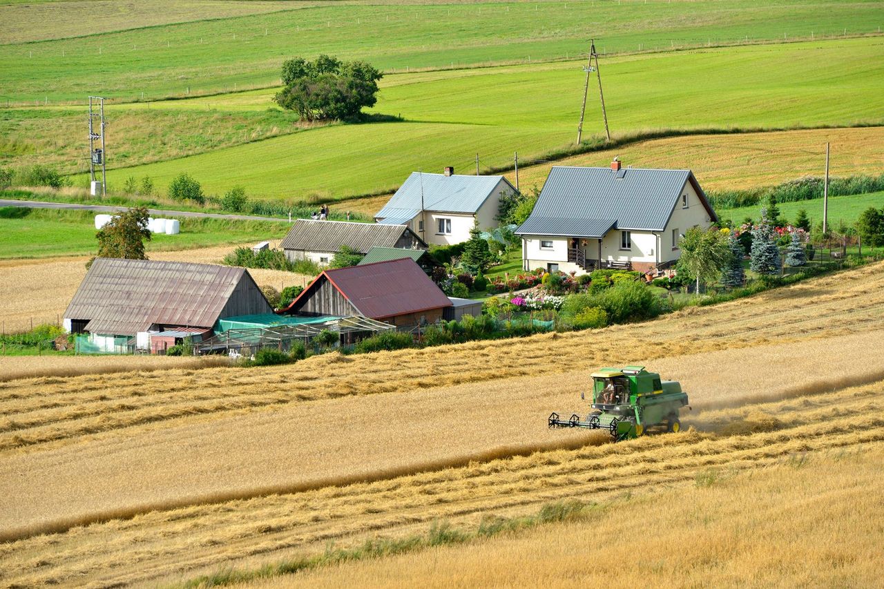 List od pani Iwony wywołał lawinę komentarzy. Dostaliśmy 200 propozycji