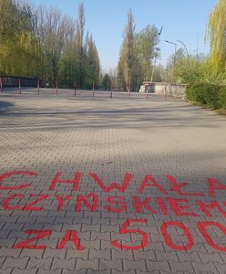 Sosnowiec. Napisy "Chwała Kaczyńskiemu za 500 plus” w miejskim parku