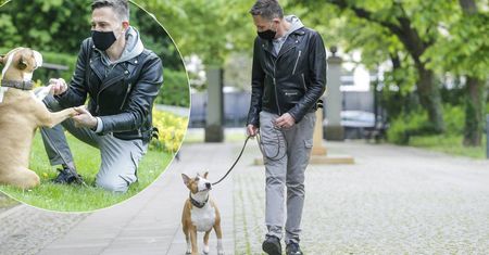 Krzysztof Ibisz na spacerze z dobrze wytresowanym psem. Paparazzi byli świadkami pięknych scen