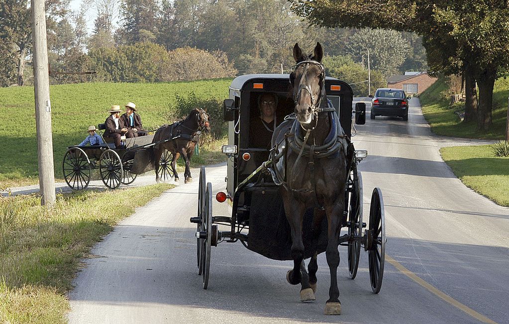Amisze nie będą sprzątać końskich odchodów. Mogą za to trafić do więzienia