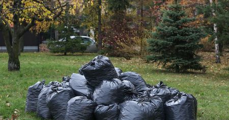 Jesienne prace w ogrodzie: nie zawsze wolno spalać liście. Kara to nawet 5 000 zł