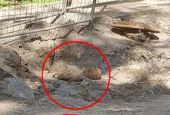 Półmetrowy niewybuch leżał pod chodnikiem. Wezwano saperów