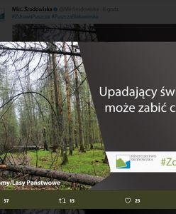 "Świerk może zabić". Akcja ministerstwa